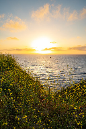 Palos Verdes California
