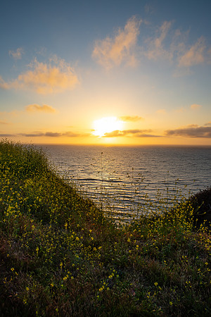 Palos Verdes California