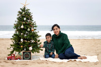 Arlene Aranda - xmas tree mini
