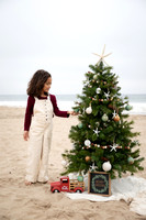 Gricelda Pardo - Xmas Tree Mini