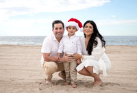 Janette Datta Xmas Tree Mini
