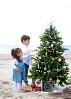 MS Favorites - My Selection - December 23
