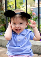 Honey Omidy - Disney 2026