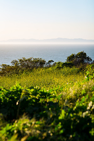 Palos Verdes, CA