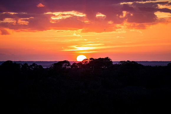 Amelia Island Florida