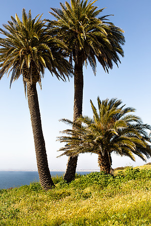 Palos Verdes California