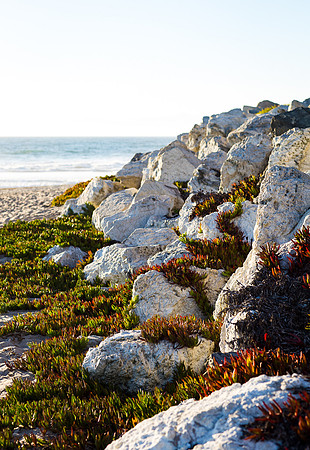 El Porto Beach California