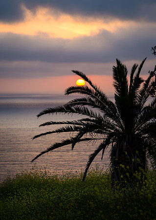 Palos Verdes California