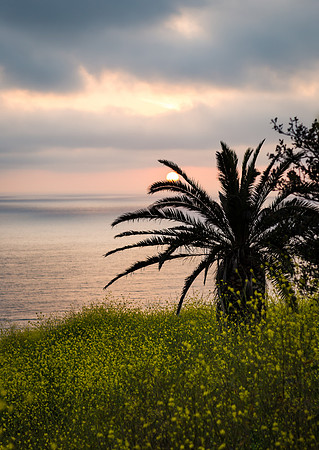 Palos Verdes California