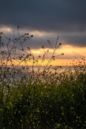 Palos Verdes California