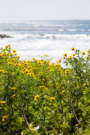 Palos Verdes California