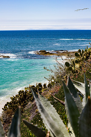 Laguna Beach California