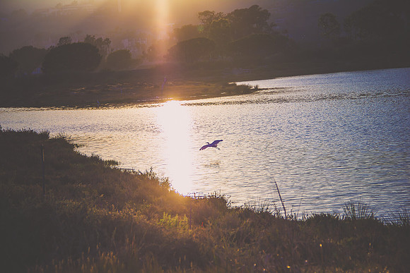 Malibu California