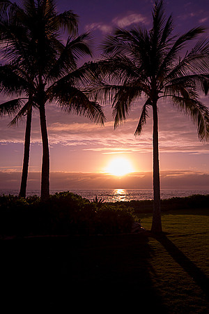 Hawaii
