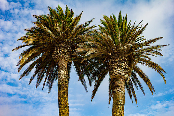 Redondo Beach California