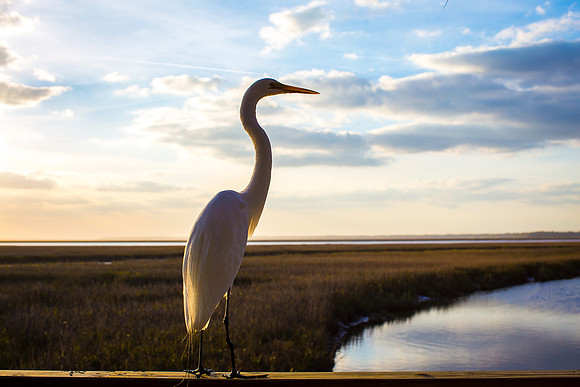 Amelia Island Florida