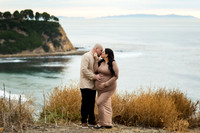 Denise S. Palos Verdes Session