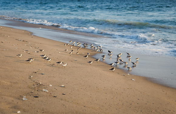 El Porto Beach California