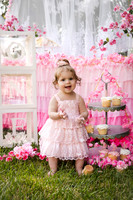 Mandy H. Cake Smash/Event Session