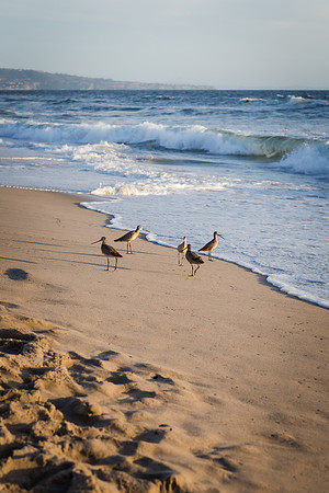 El Porto Beach California