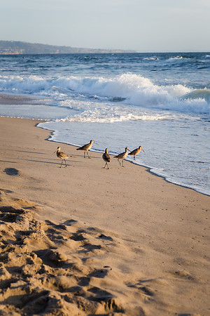 El Porto Beach California